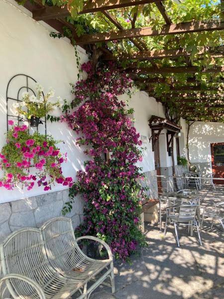 Atxispe Etxea Casa Rural Laukiz Exterior foto